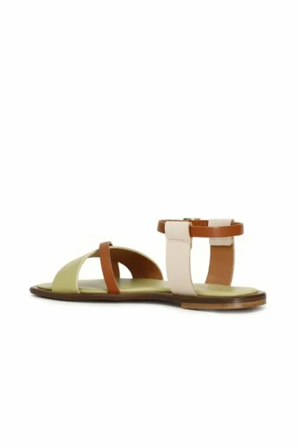 CafèNoir sandali fascia in pelle multicolor multi cedro