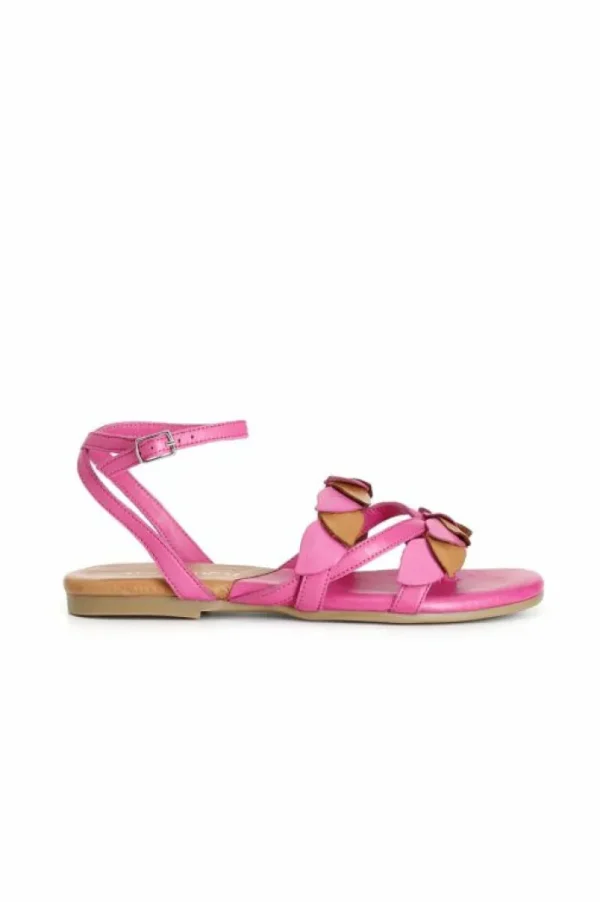 CafèNoir sandali infradito in pelle con laccio alla caviglia multi fuxia